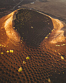 Aerial view of Volcanic Wine vineyard with ashes and Montana Chupaderos, La Geria, Lanzarote, Canary Islands, Spain.