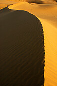 Luftaufnahme der Sanddüne in Siyane-ki-Basti, Jaisalmer, Rajasthan, Indien