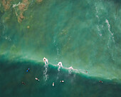Aerial view of surfers, Bidart, France.
