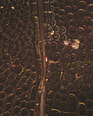 Aerial view of volcanic vineyard with circular patterns and single car on road, La Geria, Lanzarote, Canary Islands, Spain.