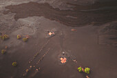 Aerial view of volcanic eruption with buried houses and flowing lava, El Paso, Santa Cruz de Tenerife, Spain.