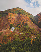 Luftaufnahme der Tabayama Roller Slide-Pagode während der Koyo-Saison, Tokio, Japan.