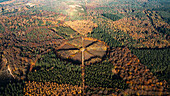 Aerial view of circle park with walking paths leading to oak tree De Eenzame Eik during frost in autumn, Sterrenbos, Amerongse Berg, Utrechtse Heuvelrug, Utrecht, Netherlands.