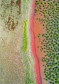 Drohnenaufnahme der Thornlands-Mangroven in der Moreton Bay in der Nähe von Brisbane, Australien.