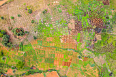 Luftaufnahme einer Plantage mit geometrischen Formen in einem Wald in der Western Area, Sierra Leone.