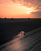 Aerial view of a tranquil field being plowed by a tractor at sunrise with a windmill and church in the background, Schermerhorn, Netherlands.