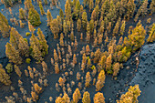 Aerial view of a landscape covered with eruption black ashes from Cumbre Vieja, a Volcano in La Palma island, Canary Islands, Spain.