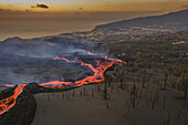 Luftaufnahme von oben, wie Lava den Vulkan Cumbre Vieja hinunterfließt, ein Vulkan während eines Ausbruchs in der Nähe der Stadt El Paraiso, Las Manchas, Insel La Palma, Kanarische Inseln, Spanien
