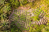 Luftaufnahme einer Plantage mit geometrischen Formen in einem Wald in der Western Area, Sierra Leone.