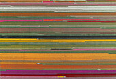 Abstract aerial view of flowering tulip fields, North-Holland , Netherlands.
