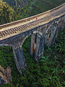 Aerial view of girl standing on the empty train bridge Nine Arch Bridge in green palm tree jungle in Ella, Sri Lanka