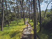 Aerial view of natural forest landscape, Mata do Camarido, Cristelo, Viana do Castelo, Portugal.