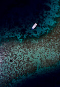 Aerial view of a boat cruising near a shallow reef in Kaafu atoll, Maldives.