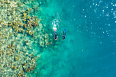 Aerial view of two persons snorkeling at Great Barrier Reef in Australia.
