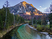Aerial drone view of Salza River with a mountain peak in the background on a fall day under a clear sky surrounded by a forest, Wildalpen, Styria, Austria.