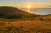 Aerial view of a person standing in a field during sunset with Ocean in background, Saint Paul township, Reunion.