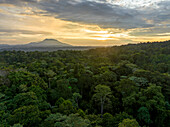 Aerial view of sunset over jungle in Halmahera Indonesia.