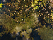 Luftaufnahme der grünlichen Wassermuster am Main Dam, Wasservogelpfade, Drie Kuilen Nature Reserve, Drie Kuilen, Western Cape, Südafrika