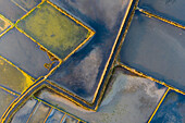 Aerial view of the patterns and colors of salt evaporation ponds during sunrise time in Aveiro, Portugal