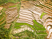 Luftaufnahme einer schönen Landschaft mit landwirtschaftlichen Plantagen an einem nebligen Tag in der Nähe der Stadt Sa Pa, Provinz Lao Cai, Vietnam