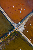 Aerial view of the patterns and colors of salt evaporation ponds with birds in Aveiro, Portugal