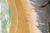 Aerial view of two-person silhouettes at Alexandria beach, Australia.