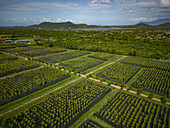 Aerial view of "La Plantation", Kampot province, Cambodia.