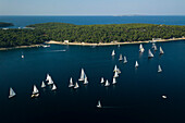 Aerial view of sailing boats for a regatta along the coastline in Zara with beautiful Adriatic coastline and turquoise sea, Croatia.
