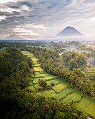 Aerial view of lush terraced rice fields and majestic mountains amidst a serene tropical landscape, Bali, Indonesia.