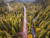 Aerial view of a road crossing the forest in Oregon, USA.