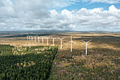 Aerial view of wind turbines in a field with trees in Bras d'Eau National Park, Poste Lafayette, Flacq, Mauritius.