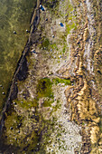 Abstract aerial view of algae beach at wintertime in Forby on the island of Vormsi in Estonia