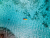 Aerial view of people with a kayak off the coast of Aruba.