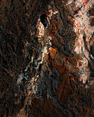 Luftaufnahme der getrockneten Lava des Vulkans Geldingadalir, Grindavík, Region Südliche Halbinsel, Island.