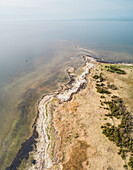 Aerial view of coastline surrounded by sea full of algae in Estonia