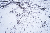 Aerial view of nordic landscapes covered with snow in Harju maakond, Estonia.