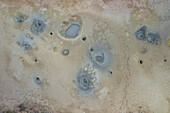 Aerial view of Gunnuhver Hot Springs (Geo Thermal Hot Spring), Grindavík, Iceland.
