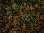 Luftaufnahme des bunten Herbstlaubs mit leuchtenden Bäumen und ruhiger Landschaft, Great Barrington, Vereinigte Staaten