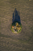Aerial view of an isolated forest in the middle of agricultural fields, Estonia.