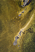 Abstract aerial view of stones formation in algae bloom on coastline in Estonia