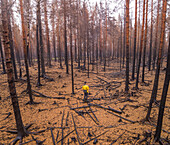 Aerial view man standing on forest in Estonia.