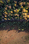 Aerial view of colorful forest in Marimetsa natural reserve in Estonia.
