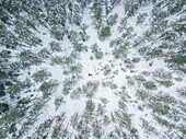 Aerial view of a person lying in the middle of the snowy forest in Polliku in Estonia.