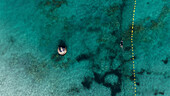 Aerial view of Cottesloe Beach with clear turquoise water and a swimmer, Perth, Australia.