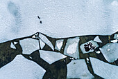 Aerial view of a man walking his dog on the frozen sea in Muraste, Estonia.