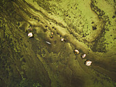Abstract aerial view of greenish baltic sea in Estonia.