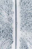 Aerial view of a car on cold winterday driving in a snowy pine forest, Lahemaa National Park, Harjumaa, Estonia.