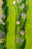 Aerial view of a golf course fairway and sand traps in early spring creating an abstract looking perspective at the Naperville Country Club in Napervile, IL - USA