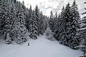 Luftaufnahme einer verschneiten Landschaft mit gefrorenen Bäumen und Skipiste, Val-d'Illiez, Schweiz.