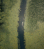 Aerial view of serene boat ride through lush marsh and river landscape, Cetinje, Montenegro.